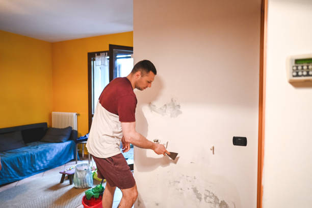 Office Mold Removal Services in Crandon, WI